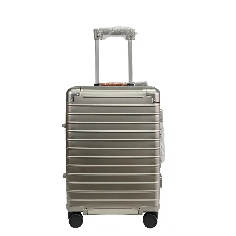titanium suitcase.jpg